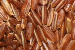 Dehusked-African-Rice