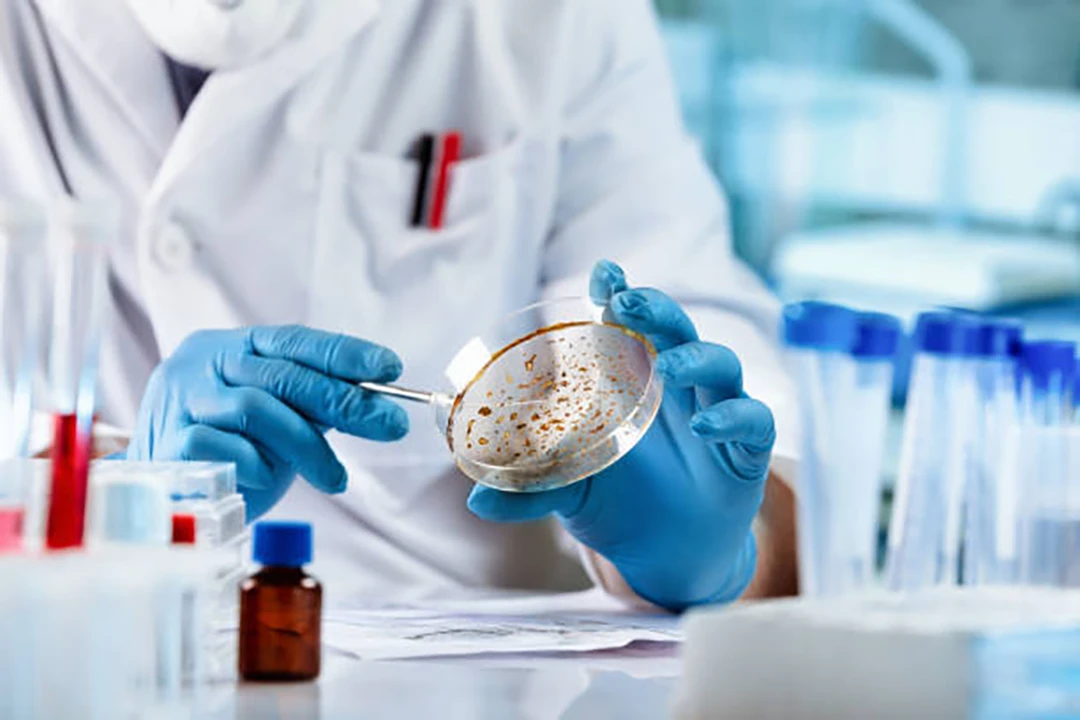 antibacterial and antifungal properties