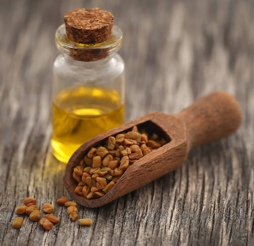 Fenugreek oil