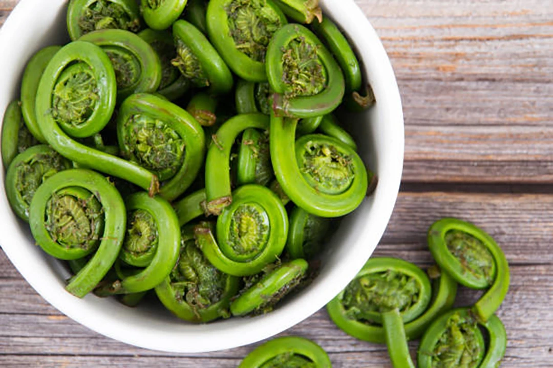 Fiddleheads into Your Diet