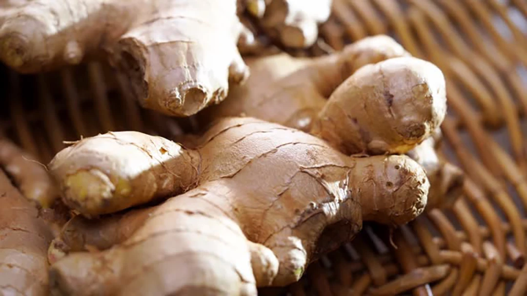 Ginger