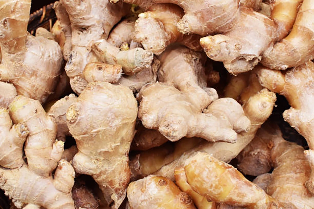 Ginger