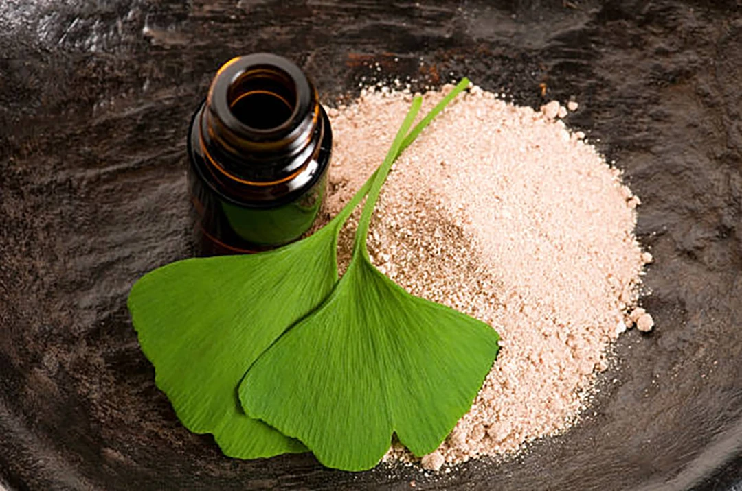 Ginkgo biloba