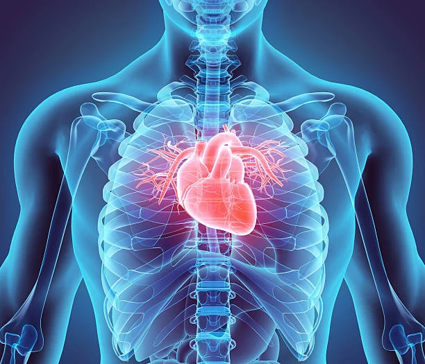 Maintain a healthy heart