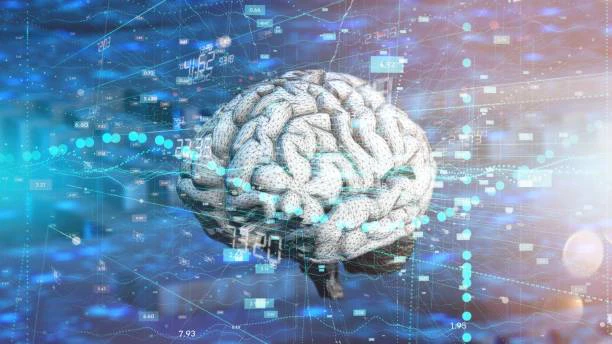 Neurobiological Changes