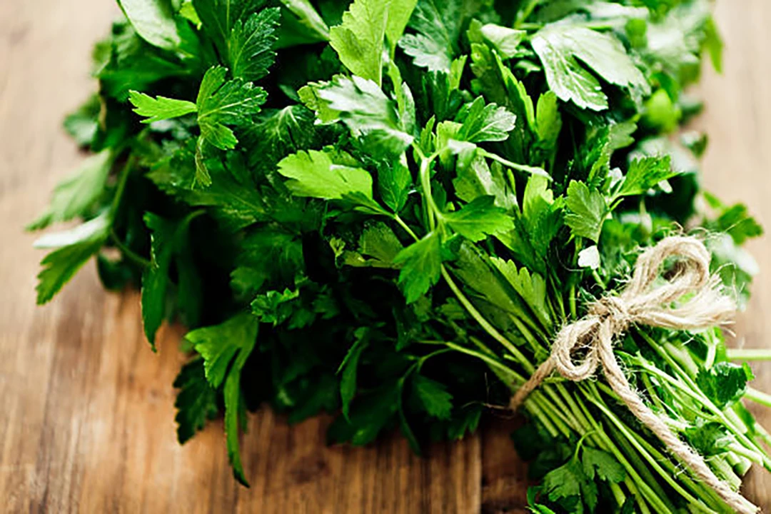 Parsley