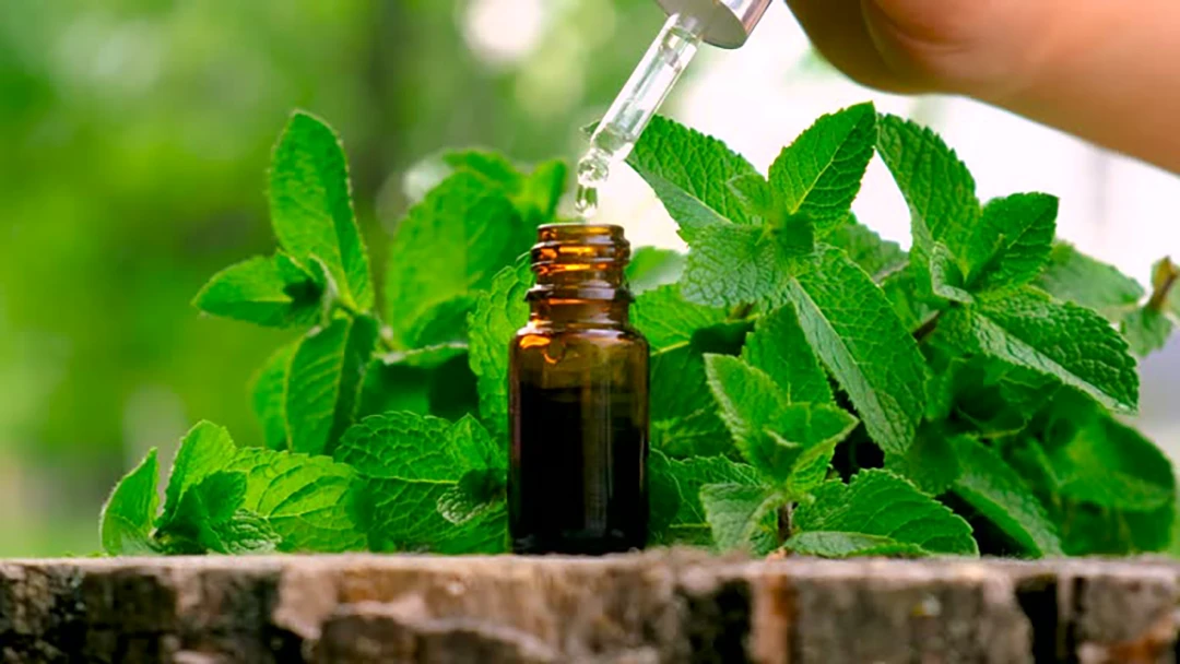 Peppermint oil
