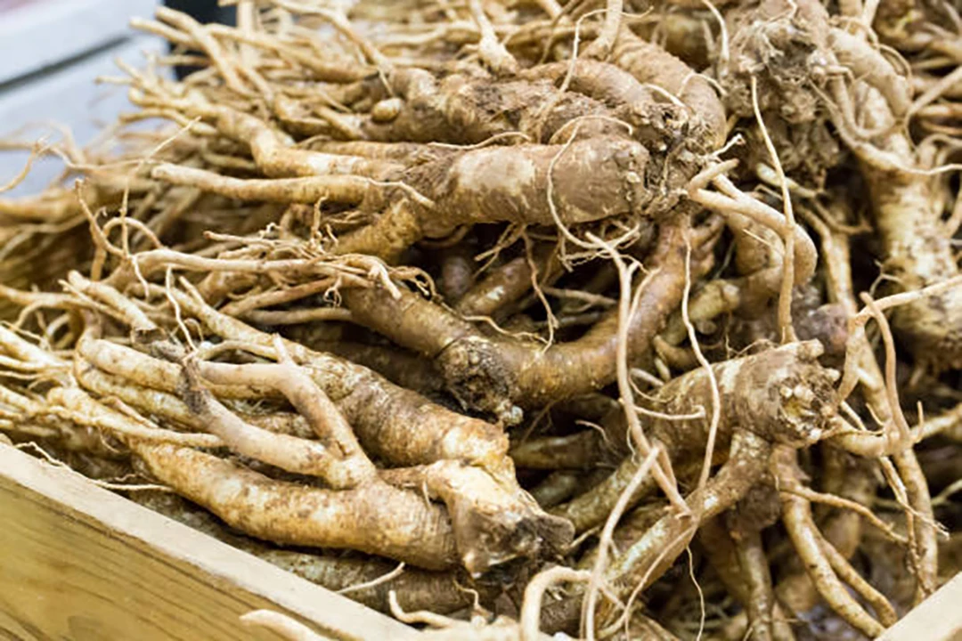 Platycodon root