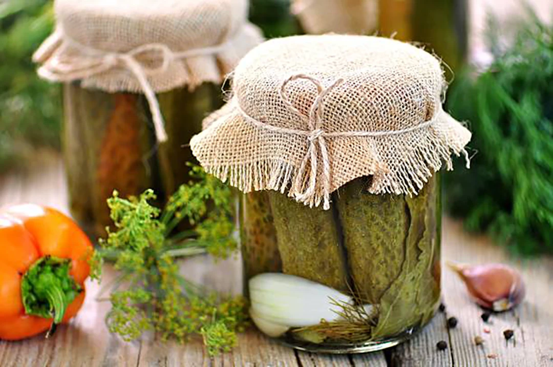 Storing Arracacha