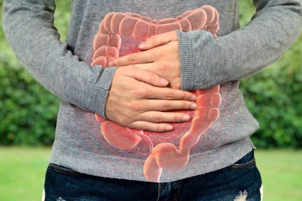 Supports-Digestive-Health