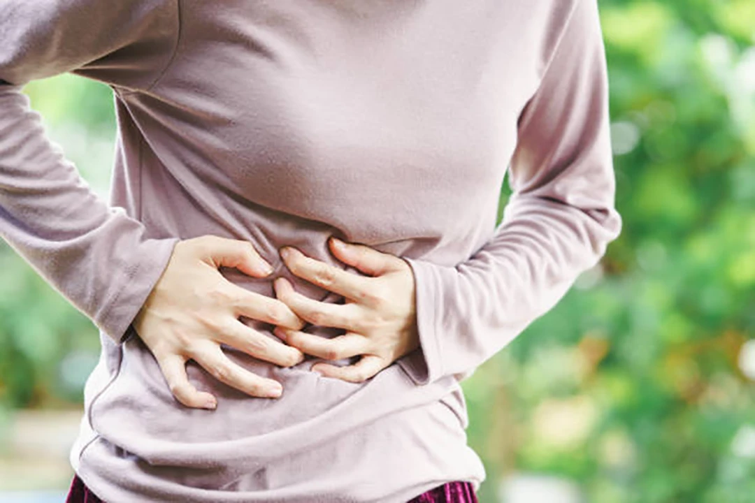 Supports Digestive Health